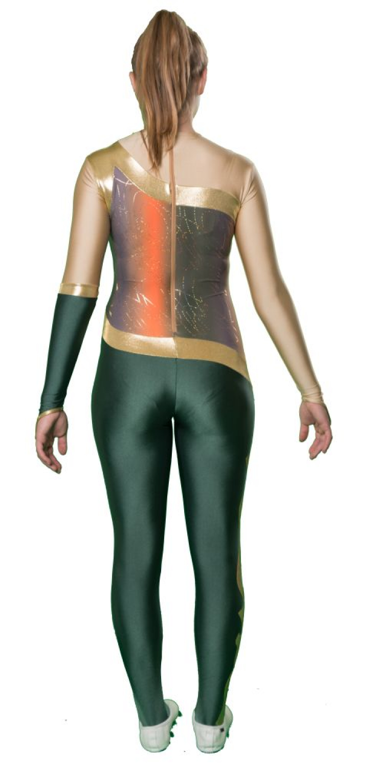 Voltigieranzug Rückenansicht